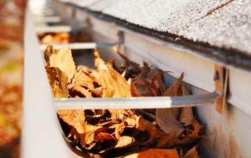 South Brachmont gutter cleaning companies
